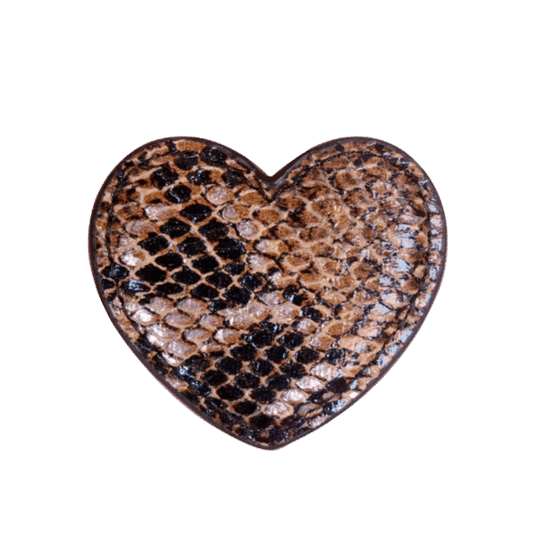 Corazón serpiente multicolor