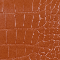 Solapa - Cocodrilo caramelo